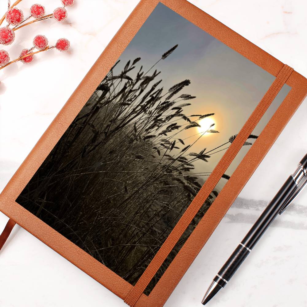 Close-Up Of Silhouetted Grasses Against Golden Sunlight