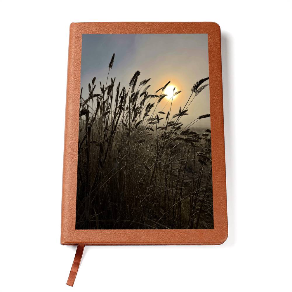 Close-Up Of Silhouetted Grasses Against Golden Sunlight
