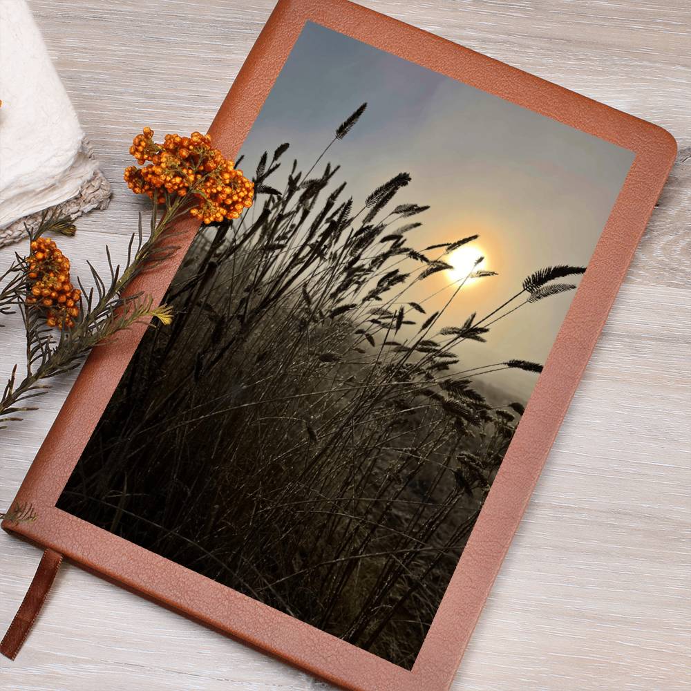 Close-Up Of Silhouetted Grasses Against Golden Sunlight