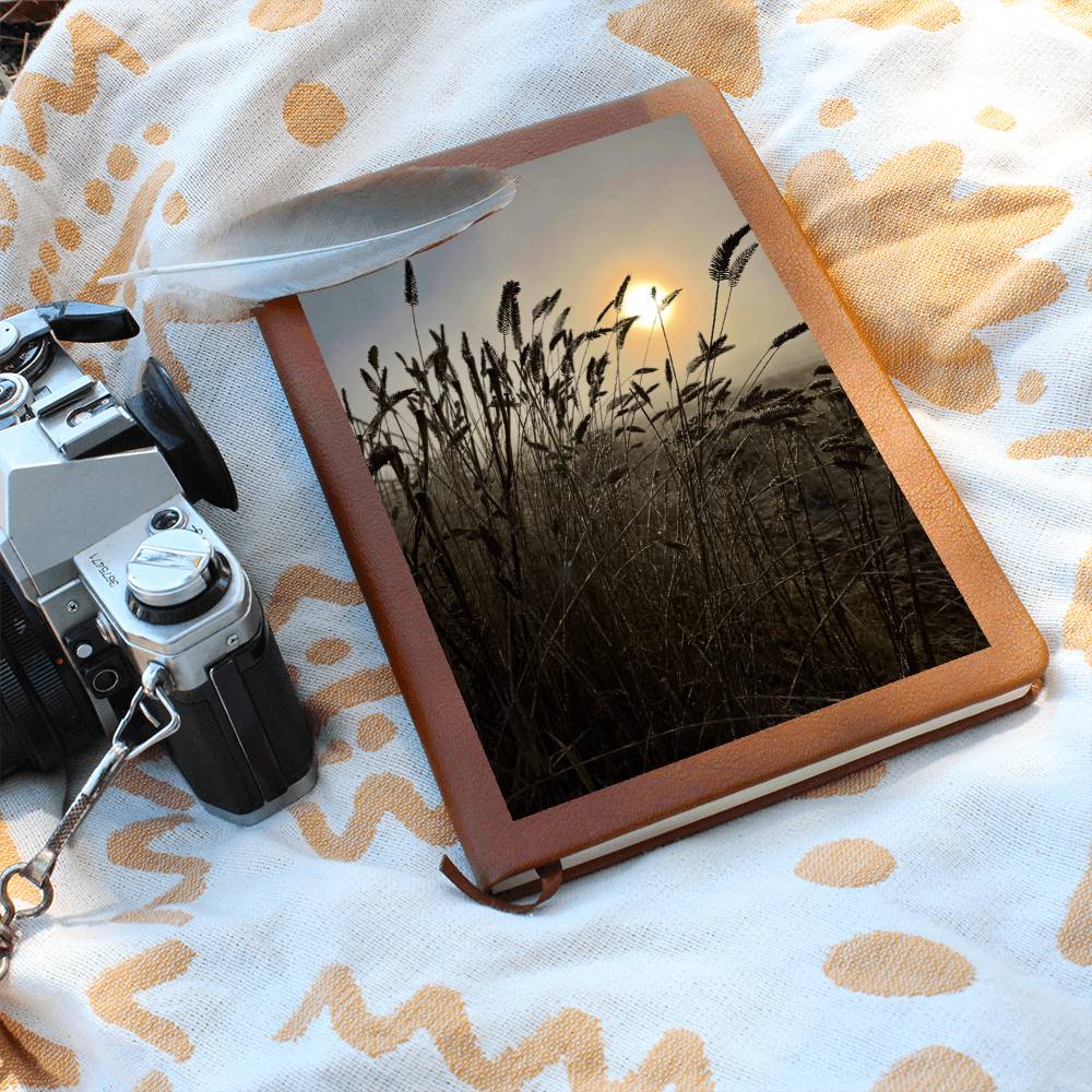 Close-Up Of Silhouetted Grasses Against Golden Sunlight